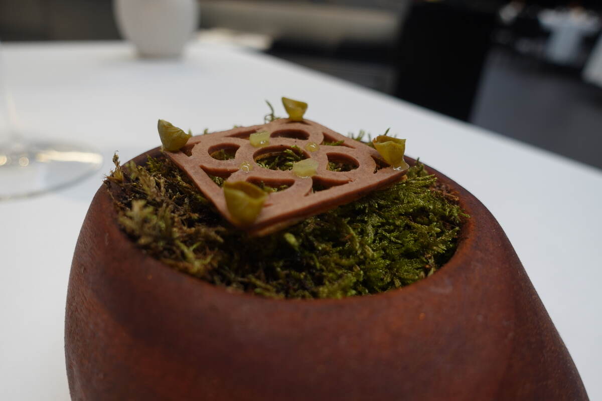 The pilota, under moss.