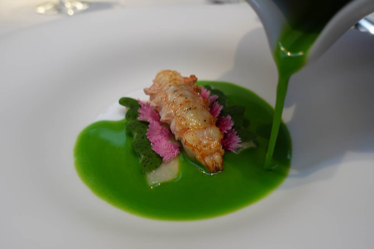 Langoustine, blood sausage, bergamot, plankton and sherry