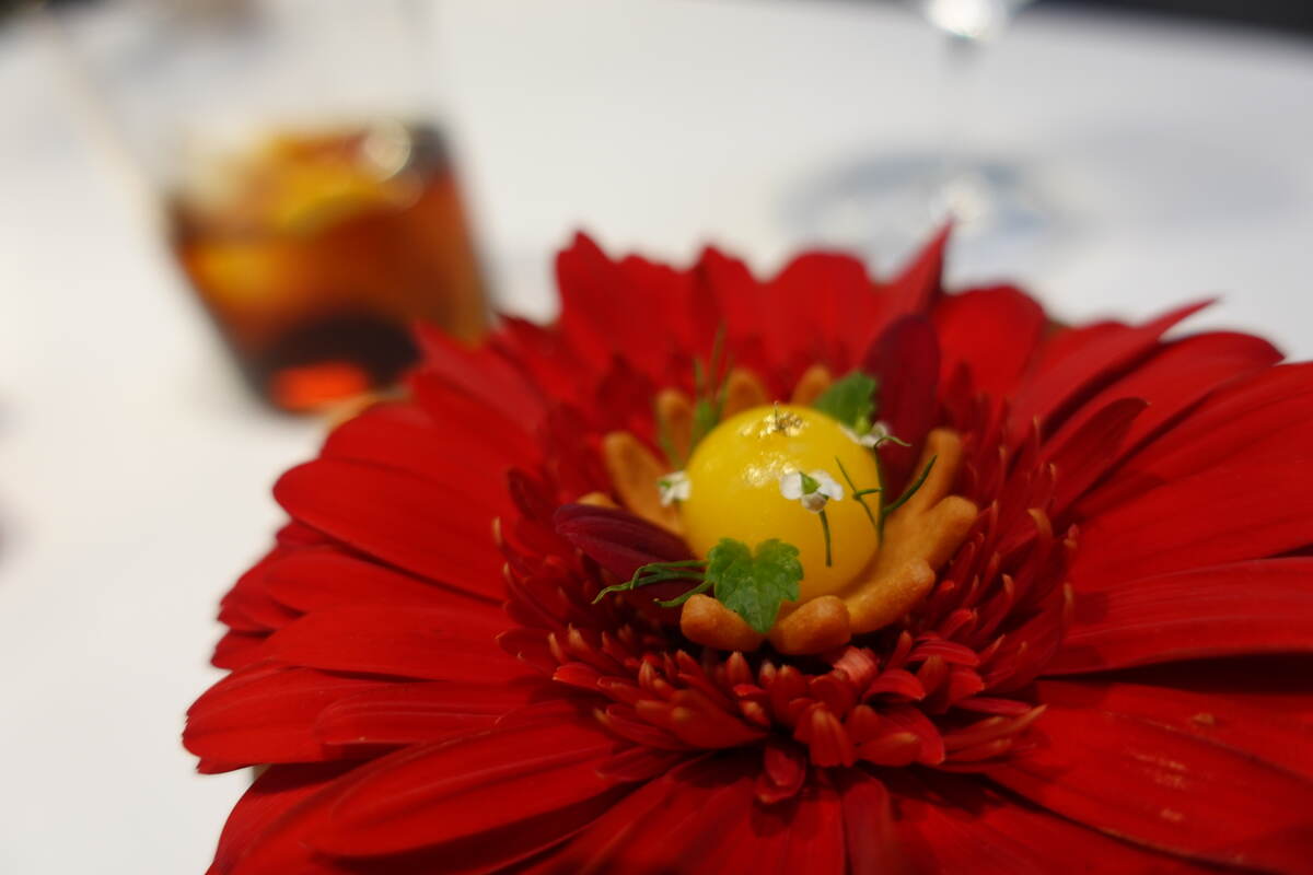 Orange Flower